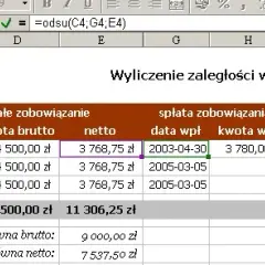 Jakie odsetki nalicza komornik? Rodzaje, wysokość i obliczanie