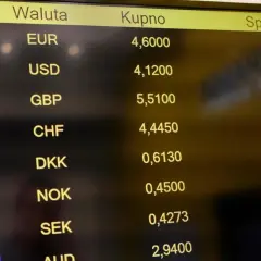 Kurs euro w Toruniu - Jakie są dzisiejsze kursy euro w kantorach?