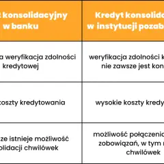 Pożyczka bez zdolności kredytowej - Jakie są dostępne opcje i warunki?