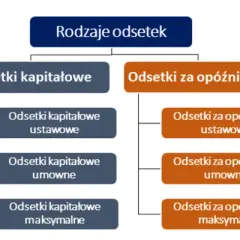 Ile wynoszą odsetki ustawowe? Aktualna stawka i obliczenia
